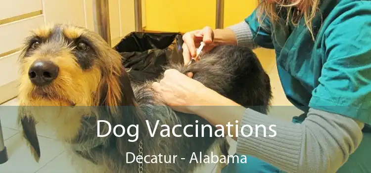 Dog Vaccinations Decatur - Alabama