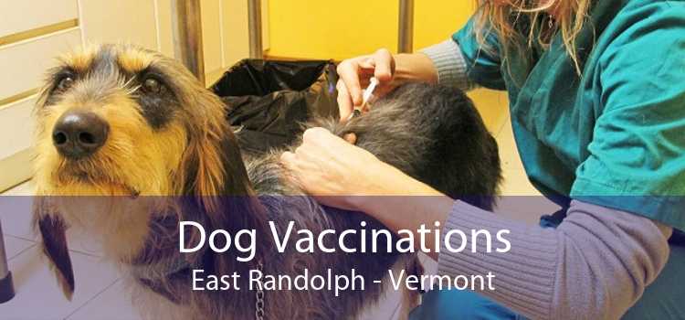 Dog Vaccinations East Randolph - Vermont
