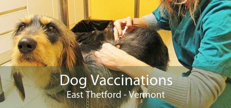 Dog Vaccinations East Thetford - Vermont