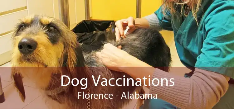 Dog Vaccinations Florence - Alabama