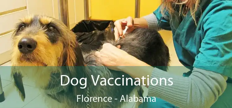 Dog Vaccinations Florence - Alabama