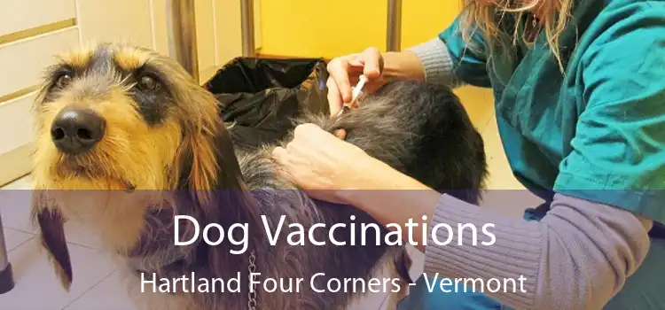 Dog Vaccinations Hartland Four Corners - Vermont