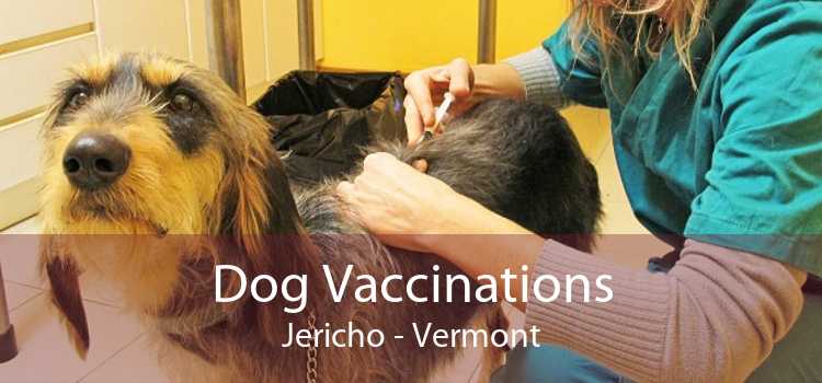 Dog Vaccinations Jericho - Vermont