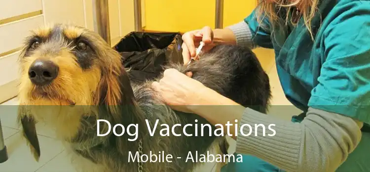 Dog Vaccinations Mobile - Alabama