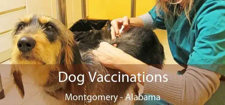 Dog Vaccinations Montgomery - Alabama