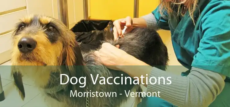 Dog Vaccinations Morristown - Vermont