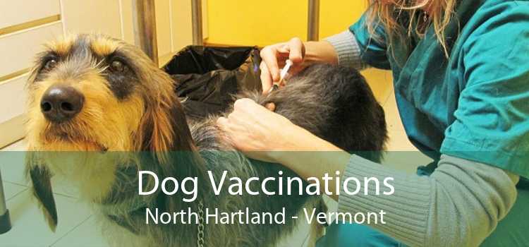 Dog Vaccinations North Hartland - Vermont