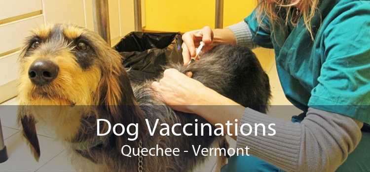 Dog Vaccinations Quechee - Vermont