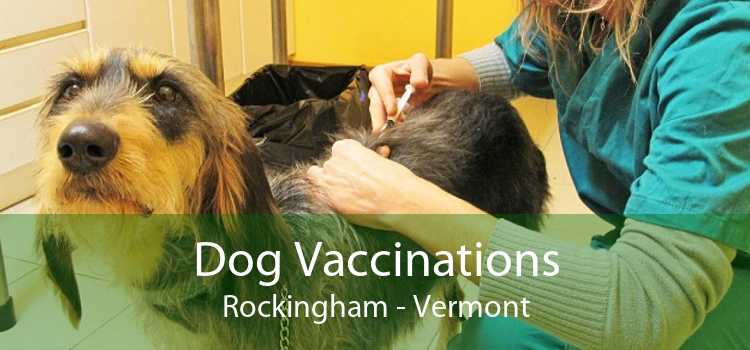 Dog Vaccinations Rockingham - Vermont