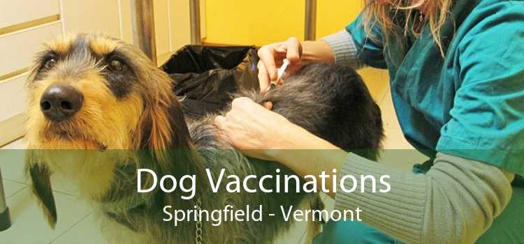 Dog Vaccinations Springfield - Vermont