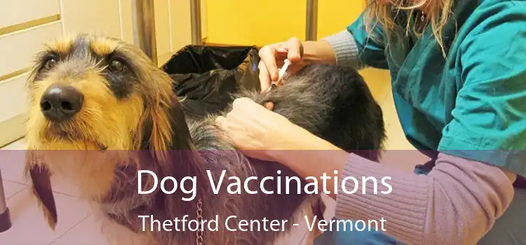 Dog Vaccinations Thetford Center - Vermont