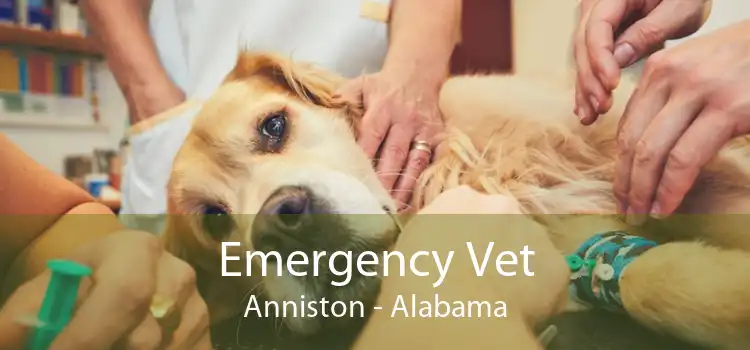 Emergency Vet Anniston - Alabama