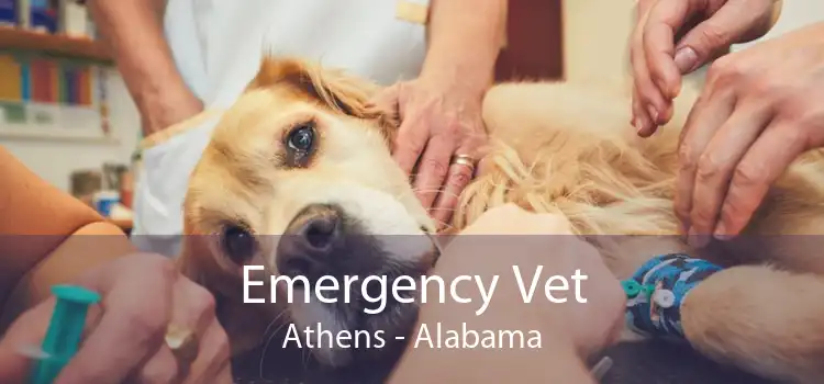 Emergency Vet Athens - Alabama