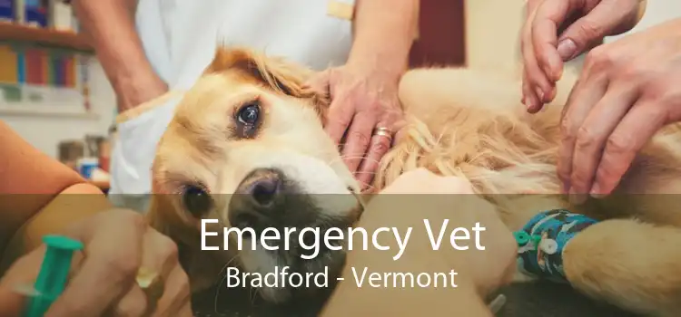 Emergency Vet Bradford - Vermont