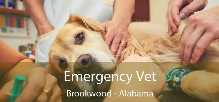 Emergency Vet Brookwood - Alabama