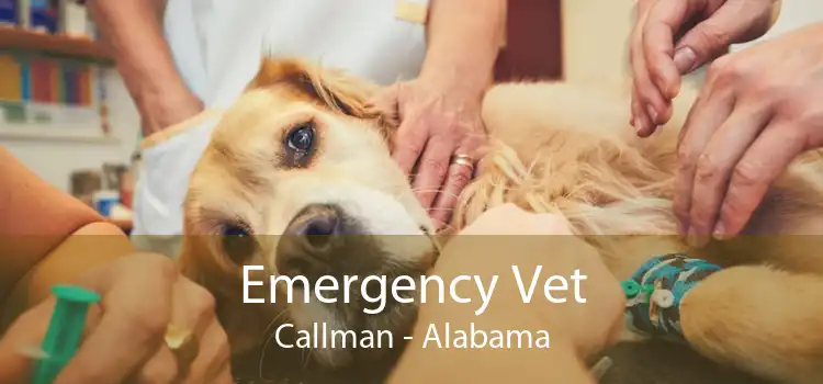 Emergency Vet Callman - Alabama