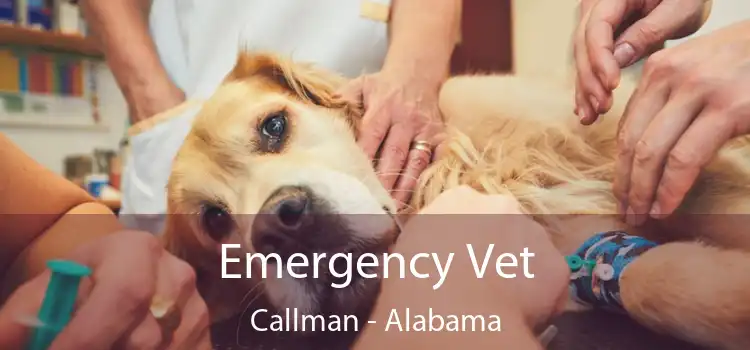 Emergency Vet Callman - Alabama