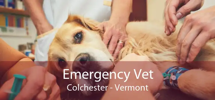 Emergency Vet Colchester - Vermont