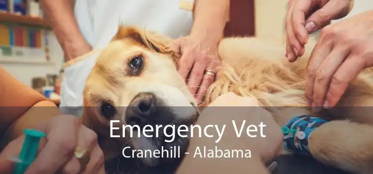 Emergency Vet Cranehill - Alabama