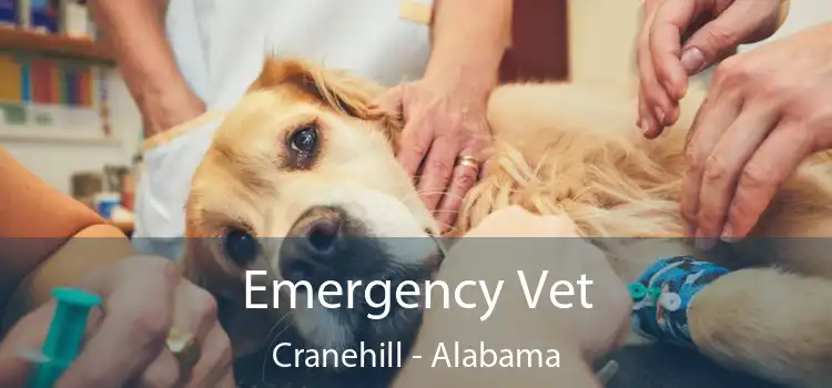 Emergency Vet Cranehill - Alabama