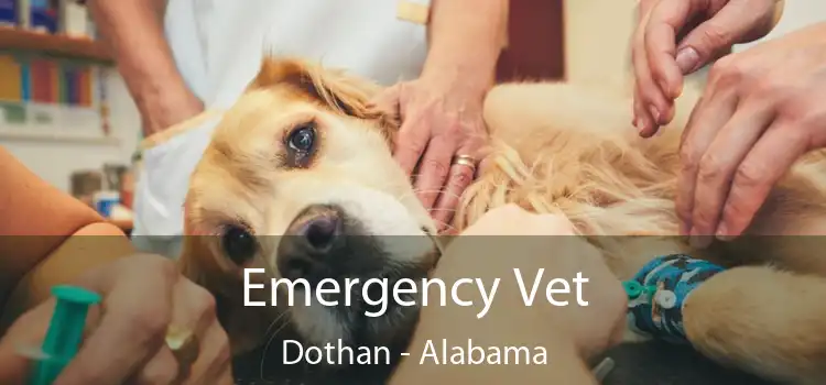 Emergency Vet Dothan - Alabama