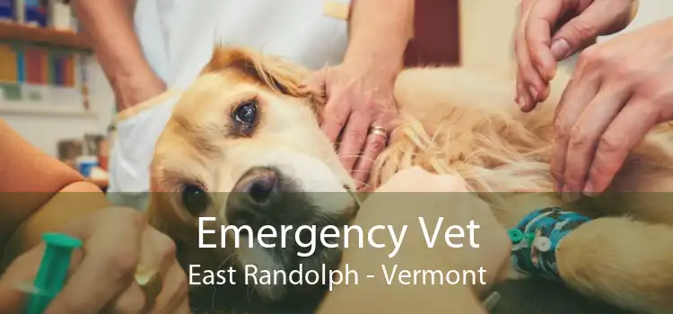 Emergency Vet East Randolph - Vermont