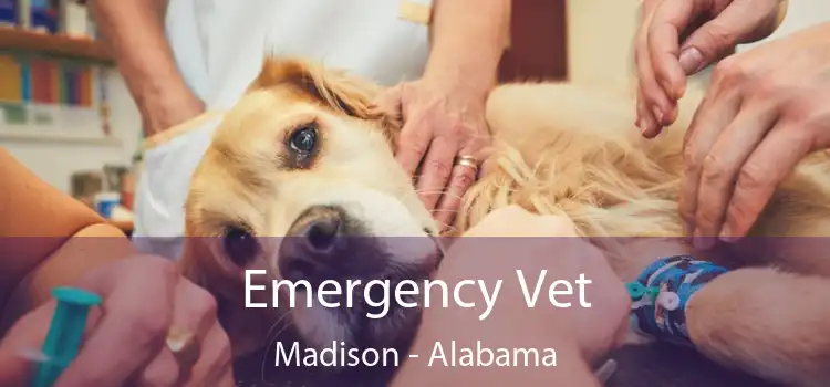 Emergency Vet Madison - Alabama