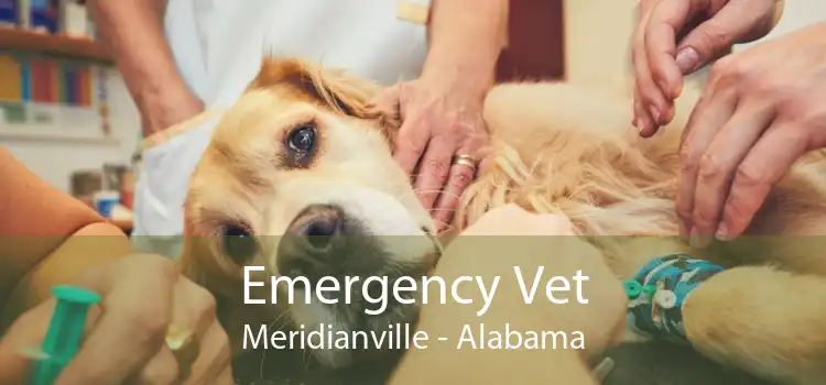 Emergency Vet Meridianville - Alabama