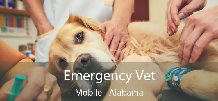 Emergency Vet Mobile - Alabama