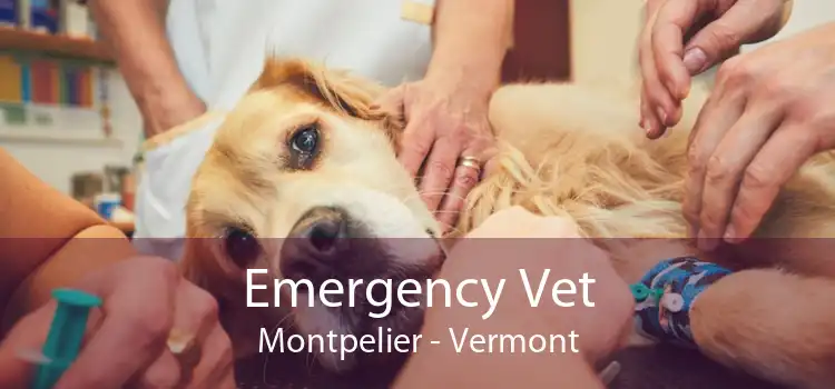 Emergency Vet Montpelier - Vermont