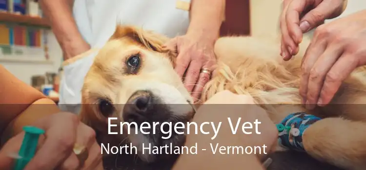 Emergency Vet North Hartland - Vermont