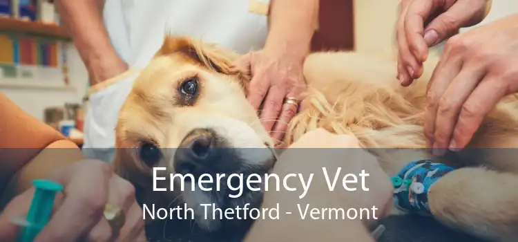 Emergency Vet North Thetford - Vermont
