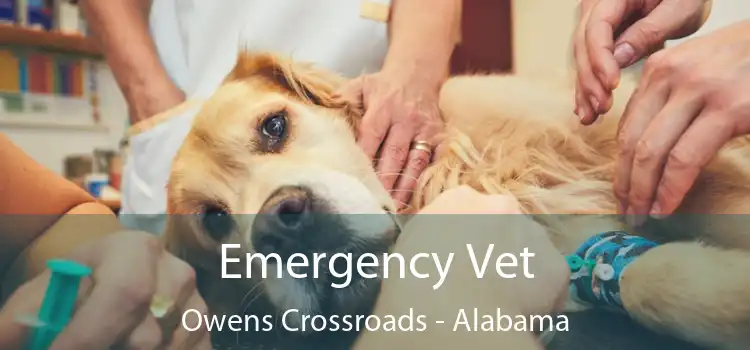 Emergency Vet Owens Crossroads - Alabama