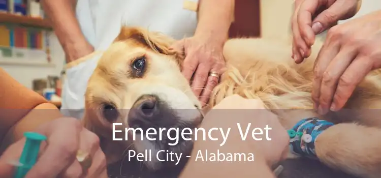 Emergency Vet Pell City - Alabama
