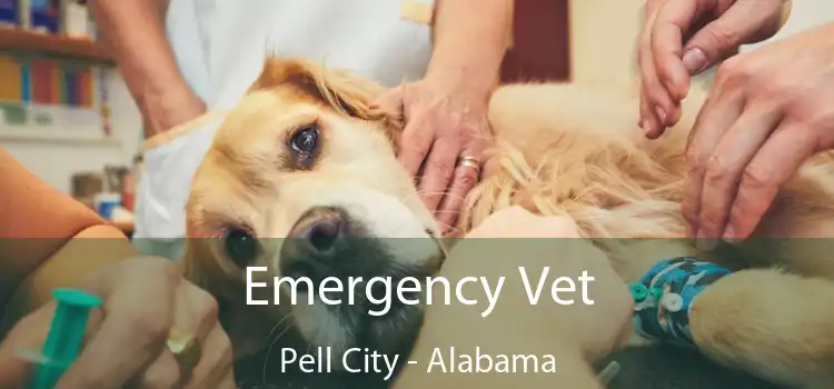 Emergency Vet Pell City - Alabama