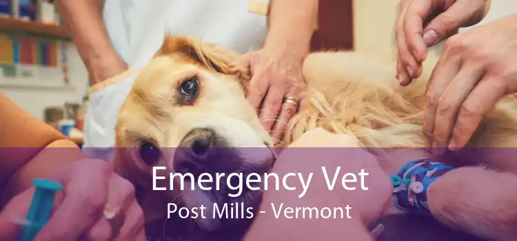 Emergency Vet Post Mills - Vermont