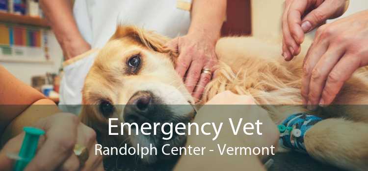 Emergency Vet Randolph Center - Vermont