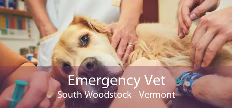 Emergency Vet South Woodstock - Vermont