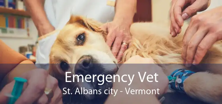 Emergency Vet St. Albans city - Vermont