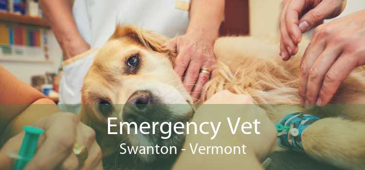 Emergency Vet Swanton - Vermont
