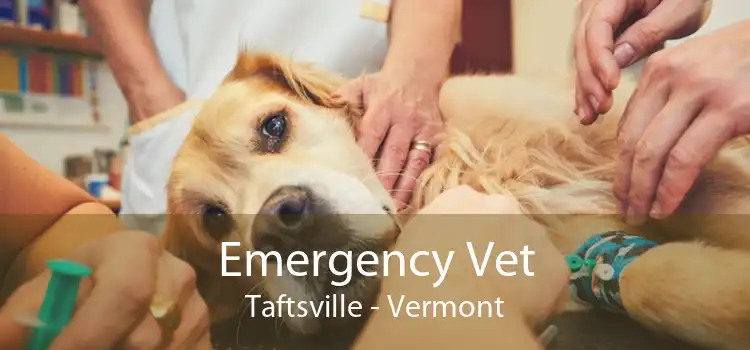 Emergency Vet Taftsville - Vermont