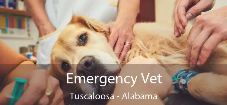 Emergency Vet Tuscaloosa - Alabama