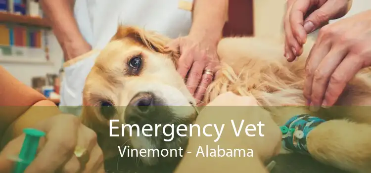 Emergency Vet Vinemont - Alabama