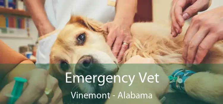 Emergency Vet Vinemont - Alabama