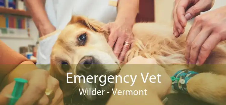 Emergency Vet Wilder - Vermont