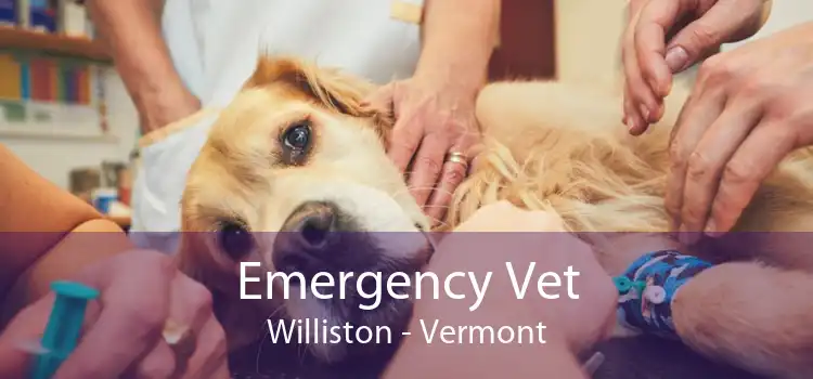 Emergency Vet Williston - Vermont