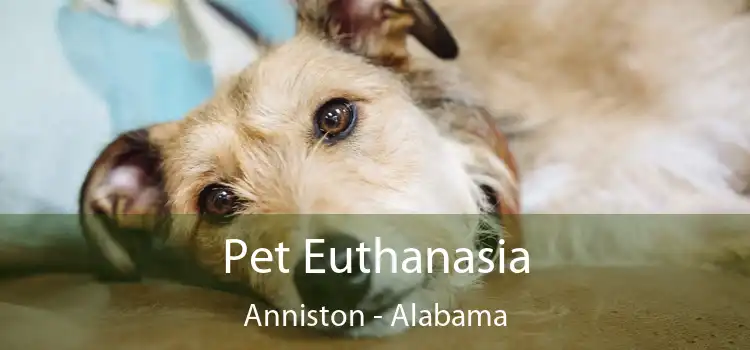 Pet Euthanasia Anniston - Alabama