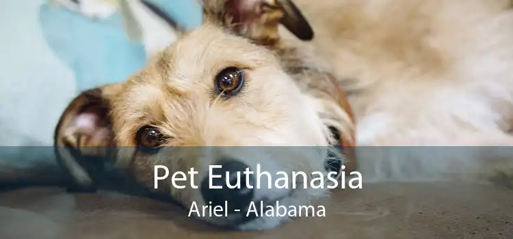 Pet Euthanasia Ariel - Alabama