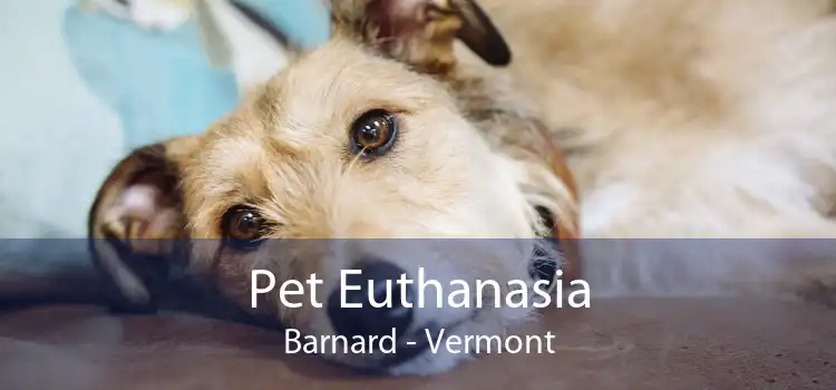 Pet Euthanasia Barnard - Vermont