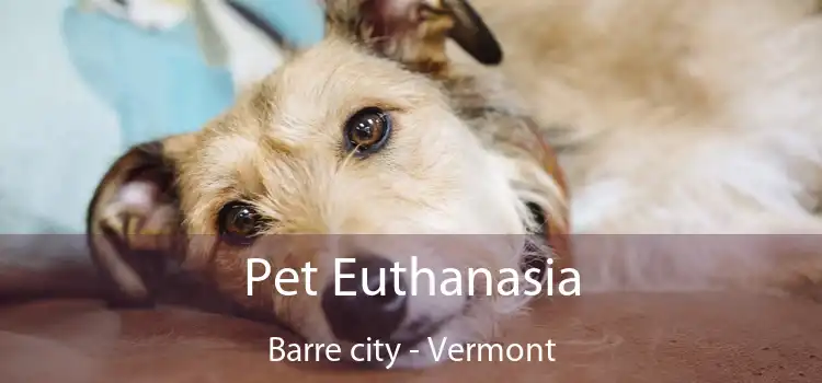 Pet Euthanasia Barre city - Vermont